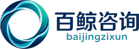 百鲸咨询