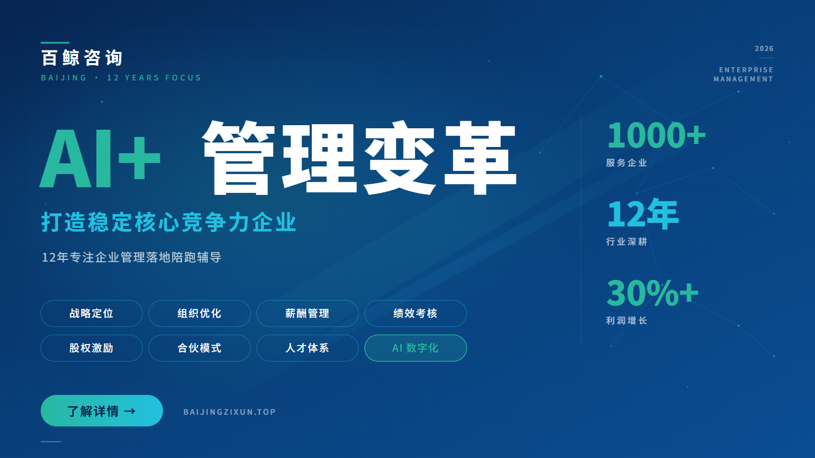百鲸咨询 - AI+管理变革，打造稳定核心竞争力企业，12年专注企业管理落地陪跑辅导