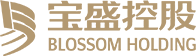宝盛控股集团